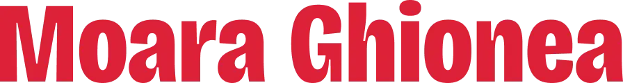 MOARA GHIONEA Partener Image